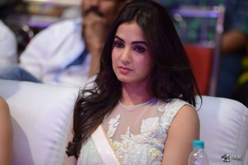 Pandaga Chesko Movie Audio Launch